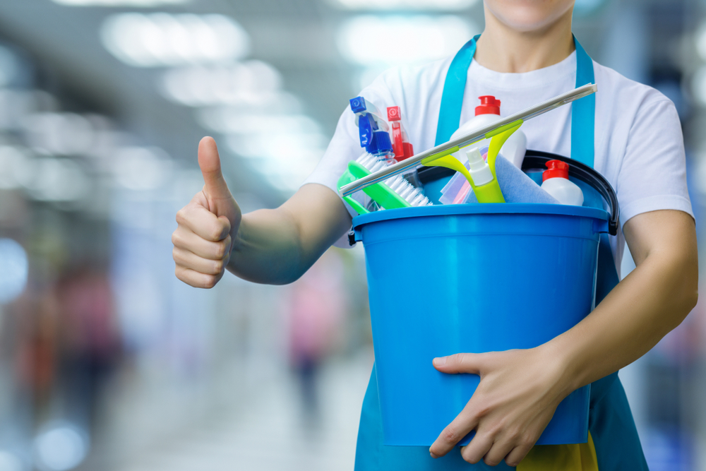 Mudanya Villa Temizliği