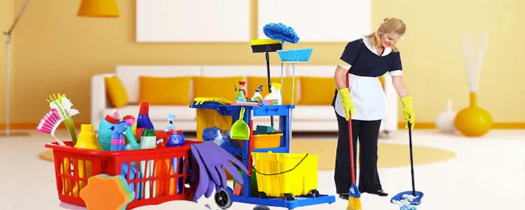 Mudanya Ev Temizliği Firmaları